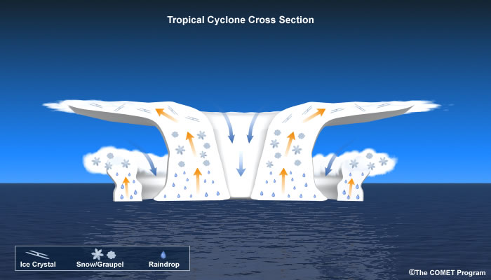 Presjek tropskog ciklona