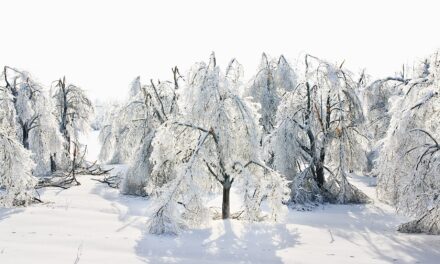 Analiza meteoroloških uzbuđenja koja slijede do kraja tjedna