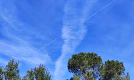 Contrail 101